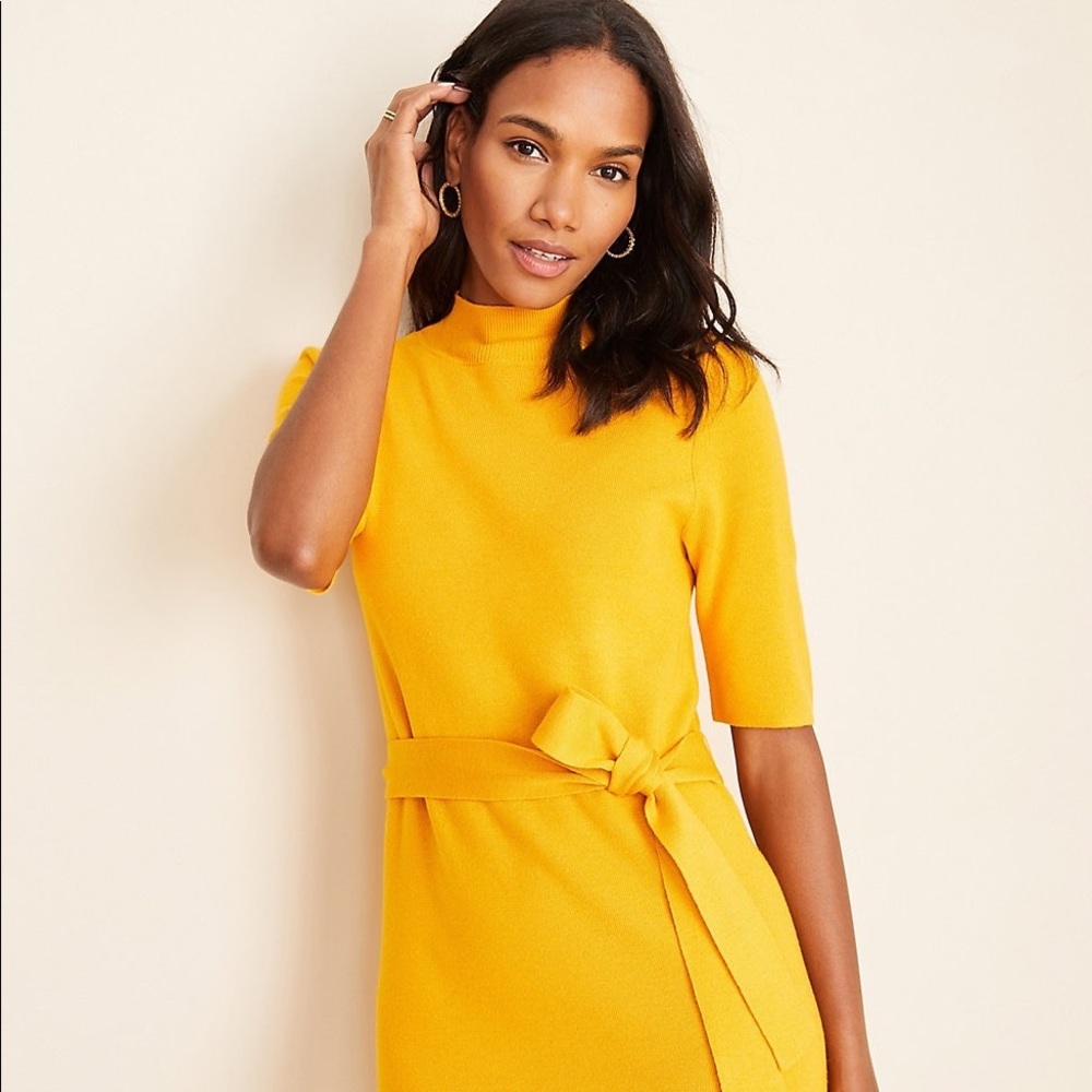 NWT!!! Ann Taylor Sweater dress